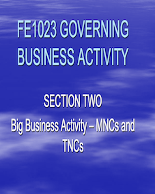 Governing Business Activity: The case of Multinational and Transnational corporations.